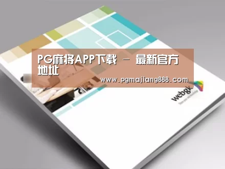 项目名称九