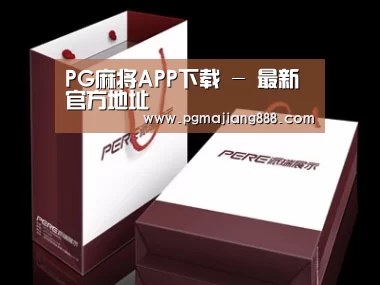 项目名称十二