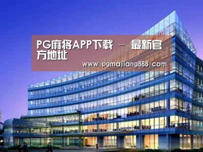案例展示五